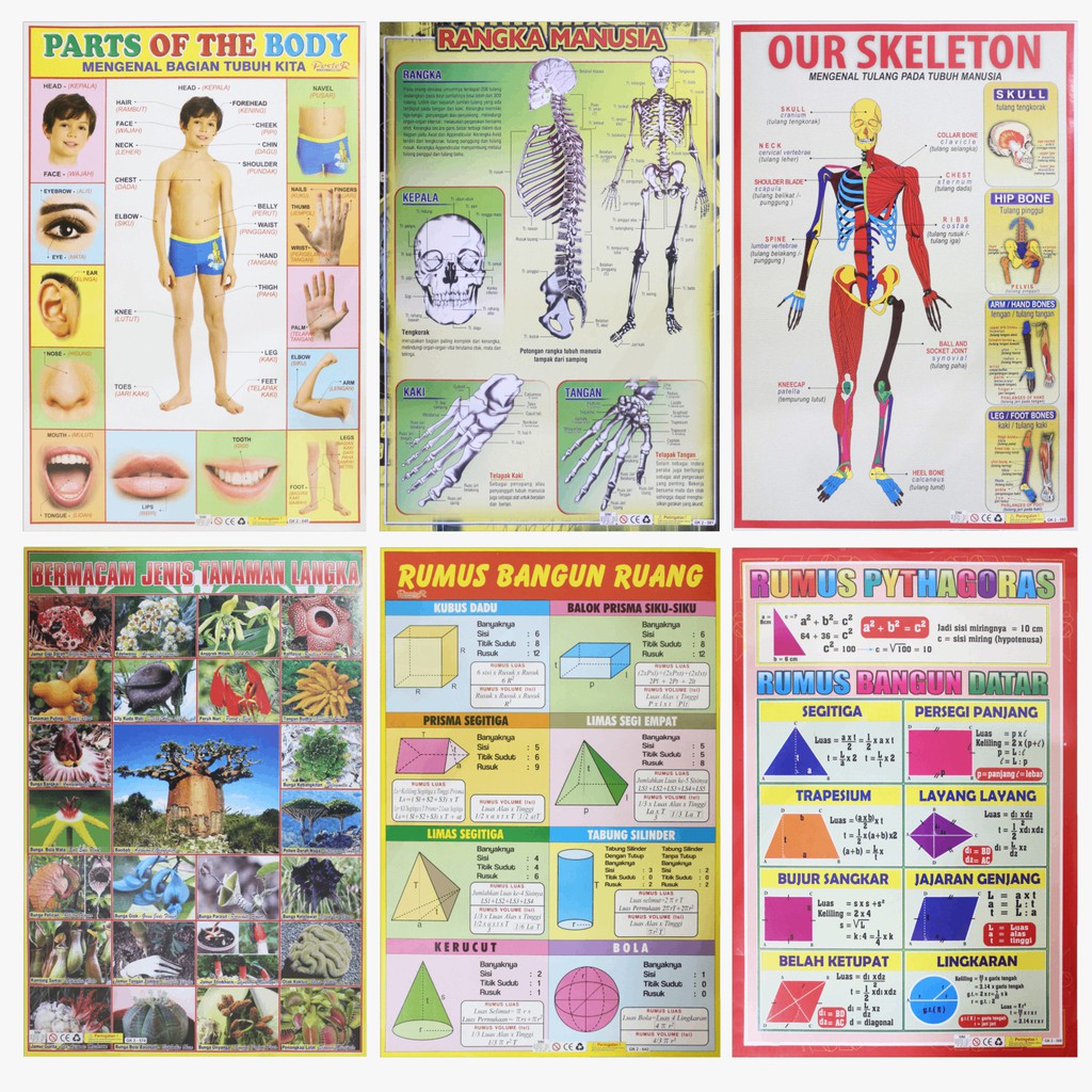 Jual Poster Anak / Poster Edukasi Anak / Gambar Edukasi Anak / Lembaran ...