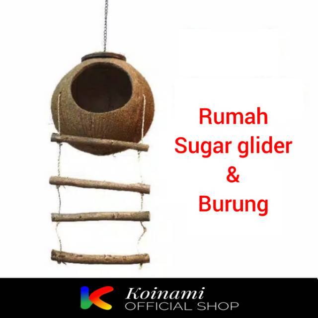 RUMAH SUGAR GLIDER dan BURUNG BATOK KELAPA / kandang sugar glider &amp; BURUNG / pake tangga / edoth