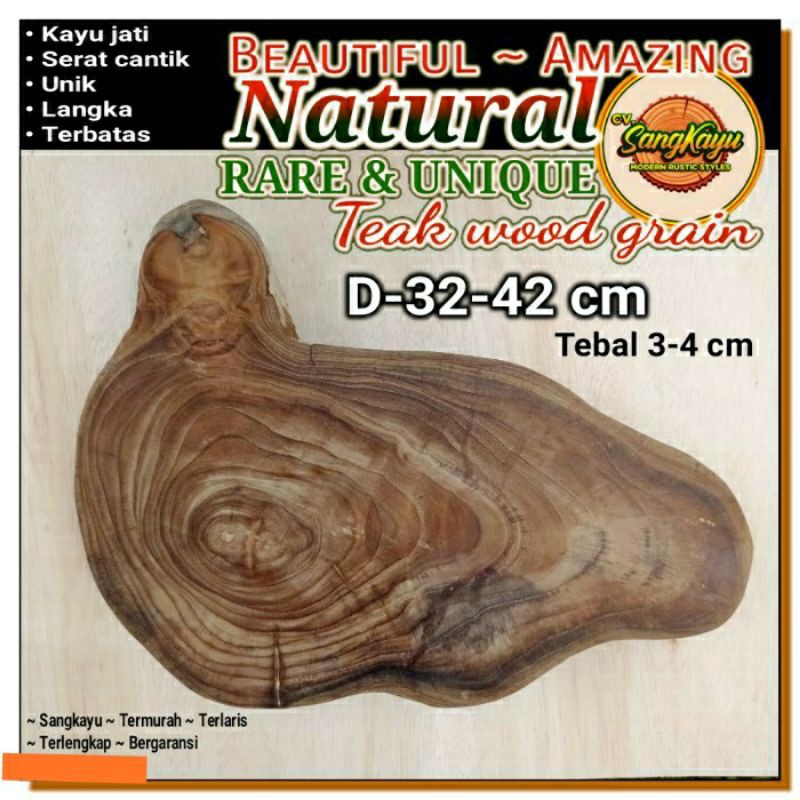 Amazing teak wood grain unique shape 32-42 cm properti foto dll