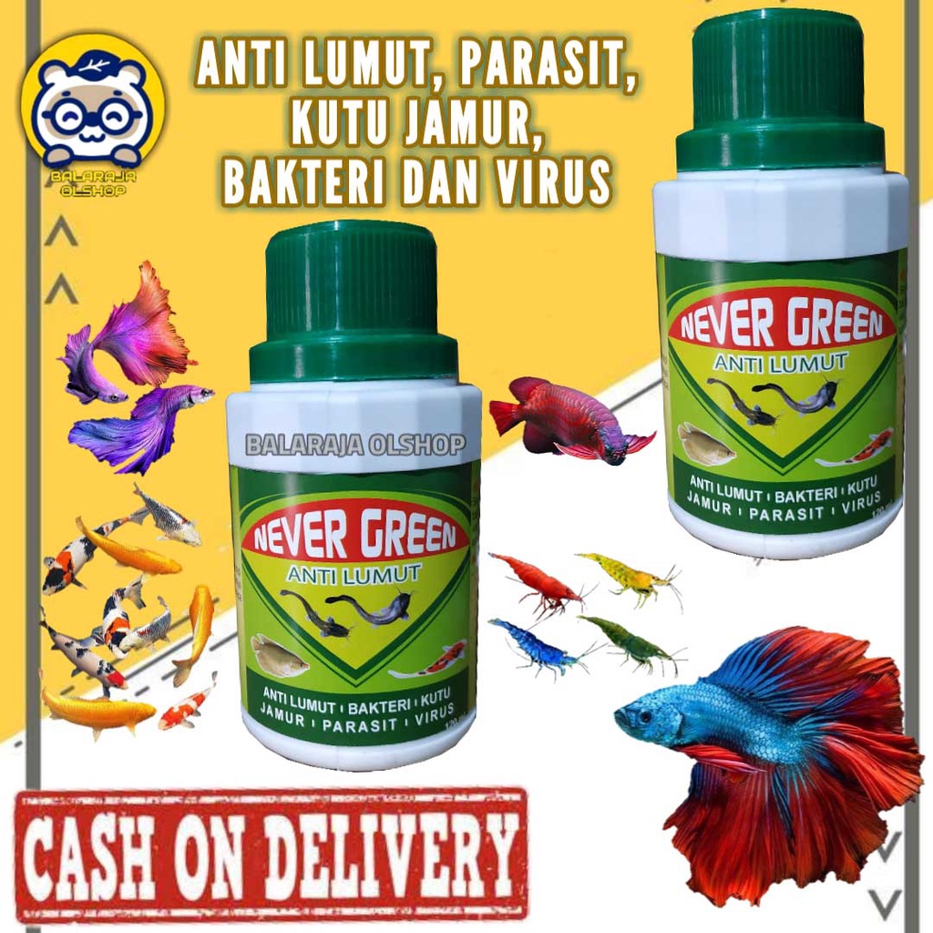 OBAT AKUARIUM ANTI LUMUT PENGHILANG BAU AIR KOLAM IKAN AIR AQUARIUM IKAN HIAS - NEVER GREEN