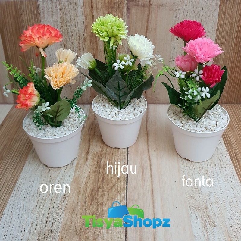 Bunga Pompom Bombay + Pot