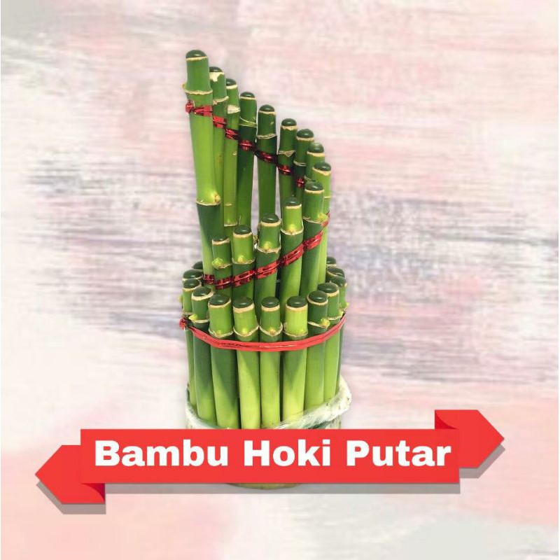 Bambu Hoki Murah