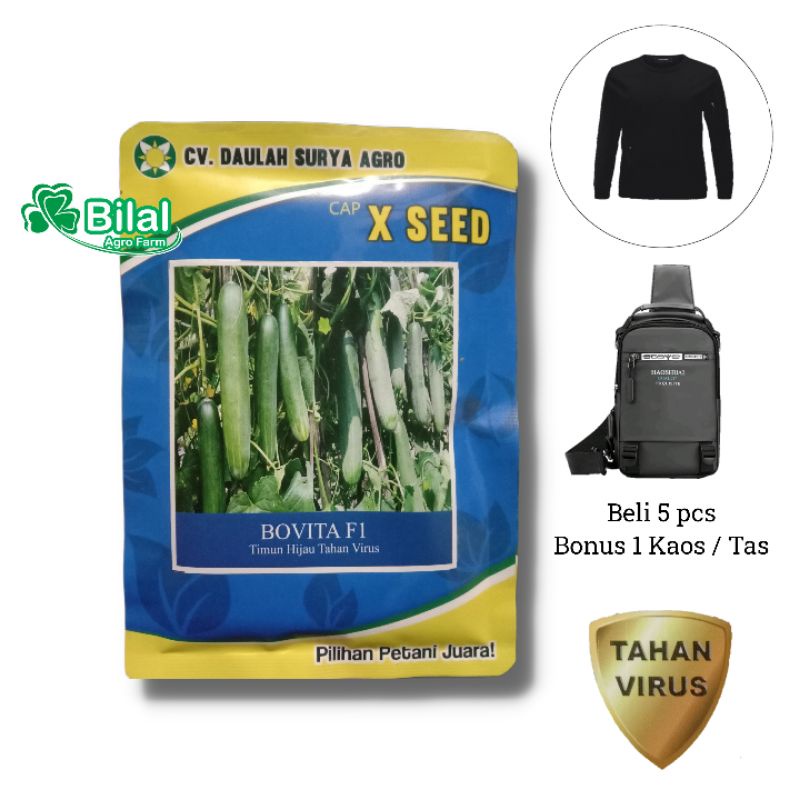 Benih Bovita F1 Mentimun Hibrida Tahan Virus 20 Gram Bonus Kaos | Bibit Timun X Seed Ketimun Hijau