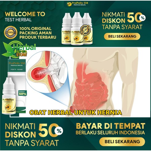 Obat Herbal HERNIA - Obat Menyembuhkan Turun Berok Pria dan Wanita - Propolis SM ASLI