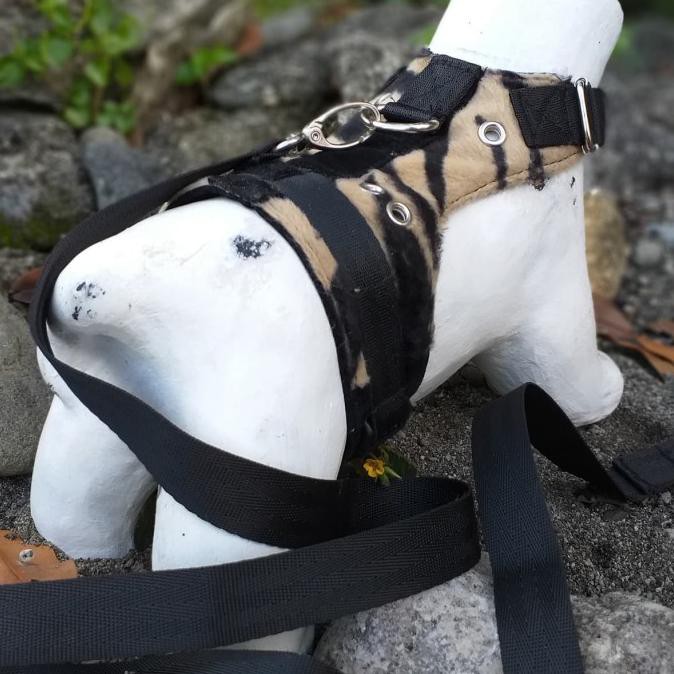 Bestseller Rompi Harness Baju Musang Kucing Dan Otter Jogja - M