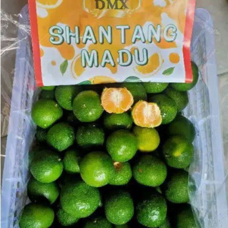 

SHANTANG MADU/500gr
