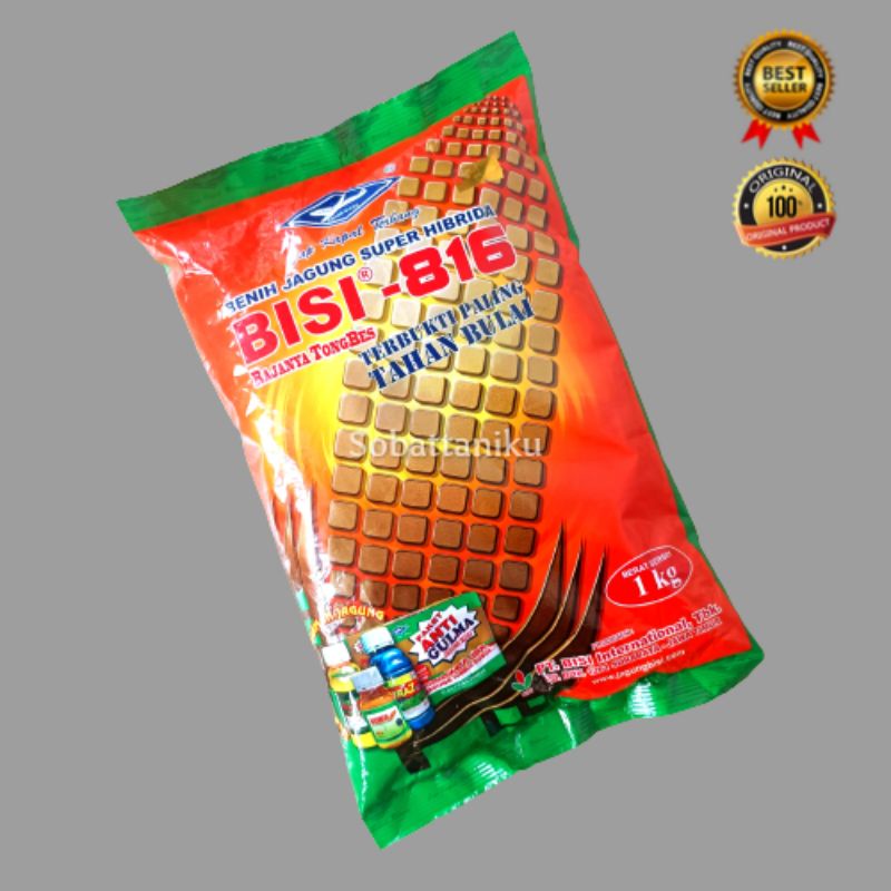 COD Benih Jagung BISI 816 1 kg Benih Jagung Tahan Bulai