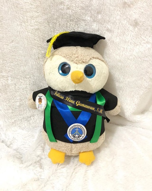 Boneka wisuda owl/boneka wisuda burung hantu