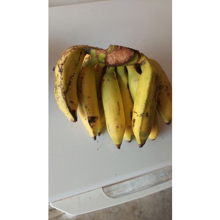 

PISANG LILIN / PISANG LILIN 1KG