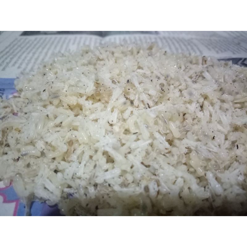 

KROTO PRESH(sogrokan) ALAM.100 GRAM