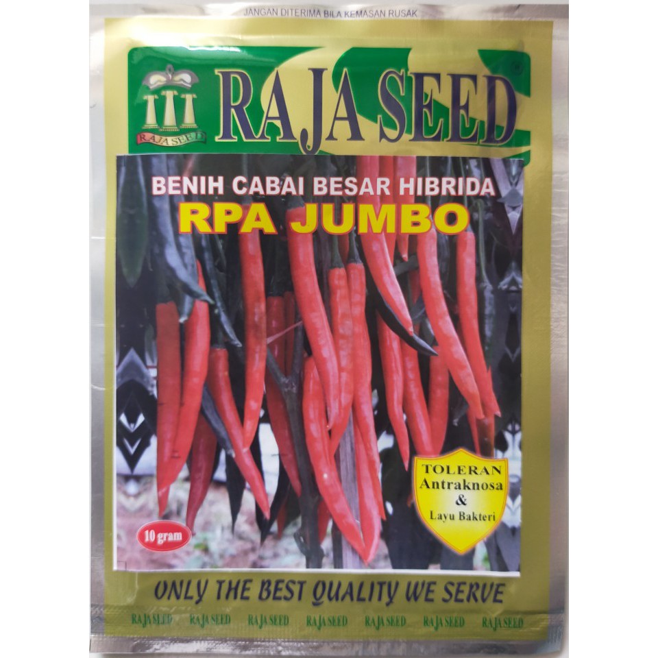 ISI 10GR - BENIH CABAI / CABE MERAH HIBRIDA RPA JUMBO - BIBIT CABE