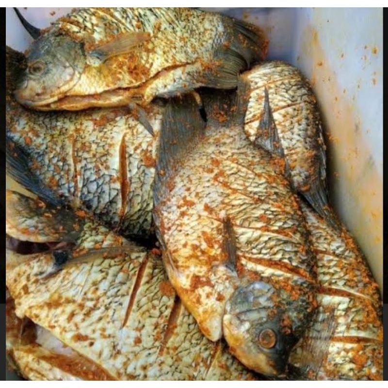 

(1KG ISI 2-3 EKOR/ ) BONUS TEMPE UNGKEP 10 BH