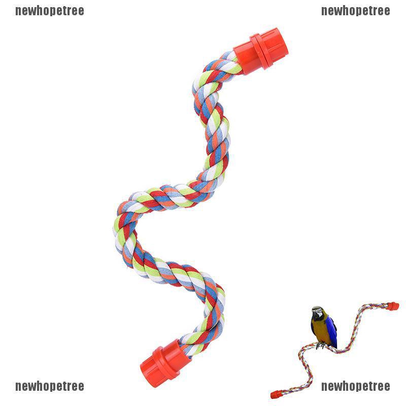 Nhtid Tali Parakel Untuk Burung Beo Shopee Indonesia
