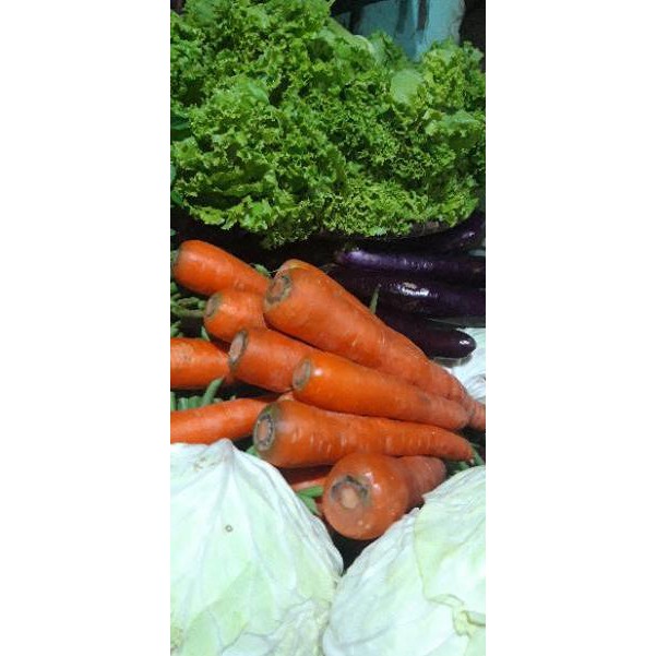 

Dedulf set Sayuran wortel import 500 gr