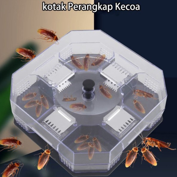 Perangkap Kecoa kotak Serangga cicak lem kecoak rumah cockroach trap / Perangkap KECOA Jebakan Serangga Hama Penangkap Trap Pest Control / Perangkap Kecoa Serangga Hama Perangkap Ramah Lingkungan Cockroach Kil / Perangkap Kecoa / Cockroach Trap Kotak