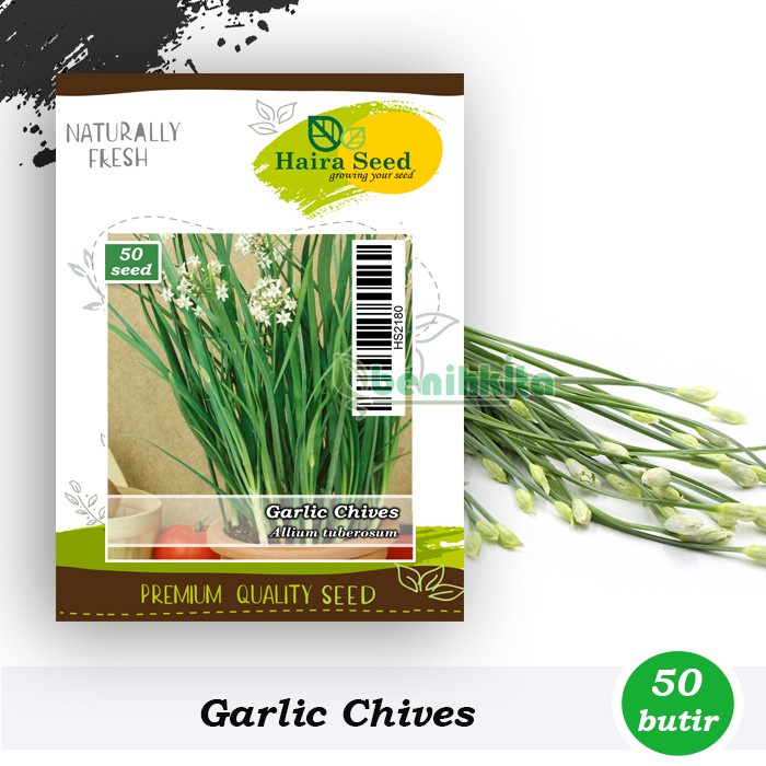 Benih-Bibit Kucai/Garlic Chives (Haira Seed)