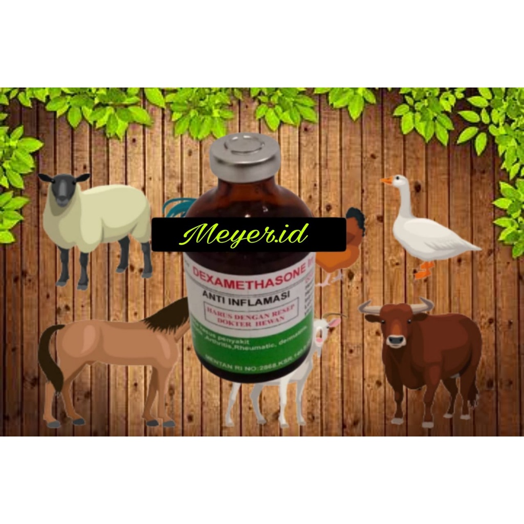 Dexamethasone Inj Meyer 50ML & 100ML - Obat anti inflamasi (PERADANGAN)