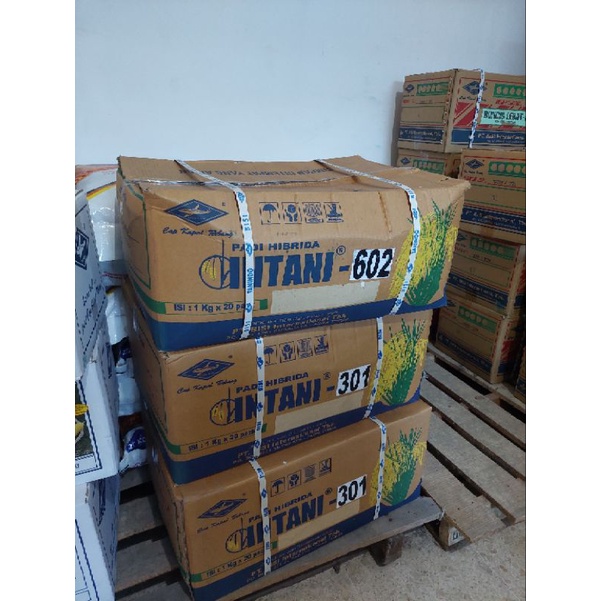 benih padi hibrida intani 301 1kg
