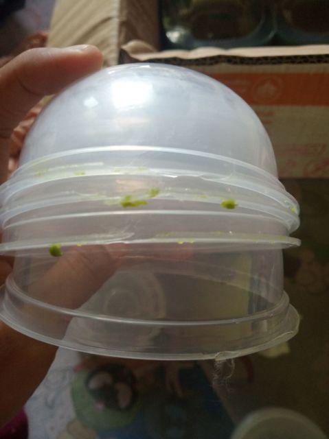 Thinwall Bowl / Mangkok Es Kepal Milo 200ml (5pcs)