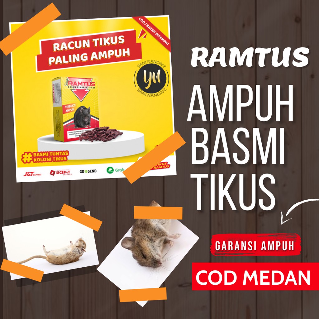 racun tikus ampuh mati kering dan tidak bau cod medan