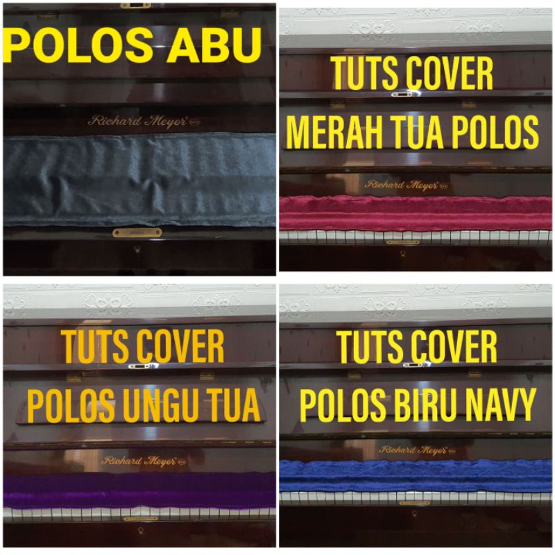 PIANO TUTS COVER BAHAN BLUDRU