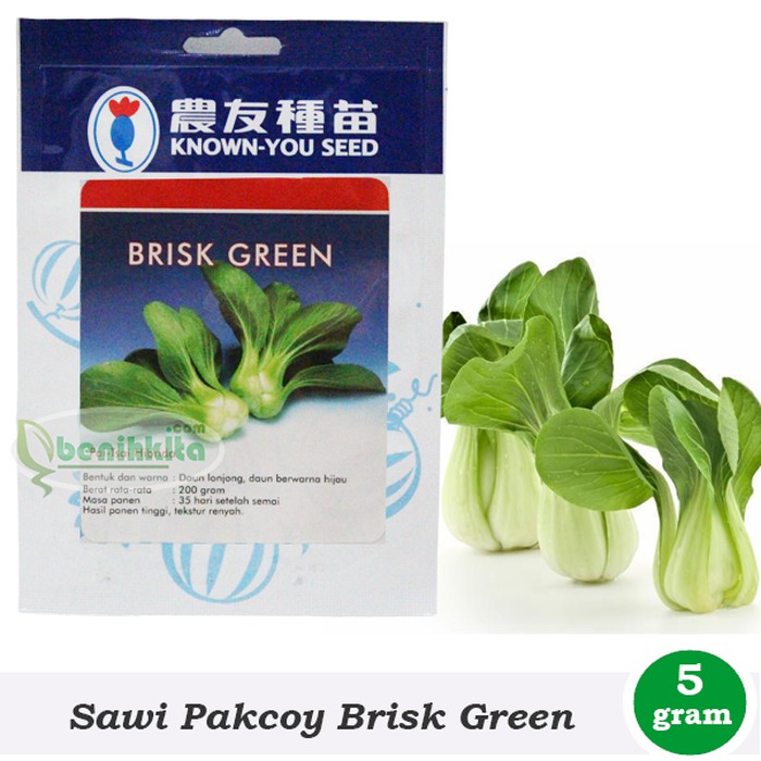 Jual Benih Bibit Sawi Pakcoy Brisk Green Known You Seed Shopee