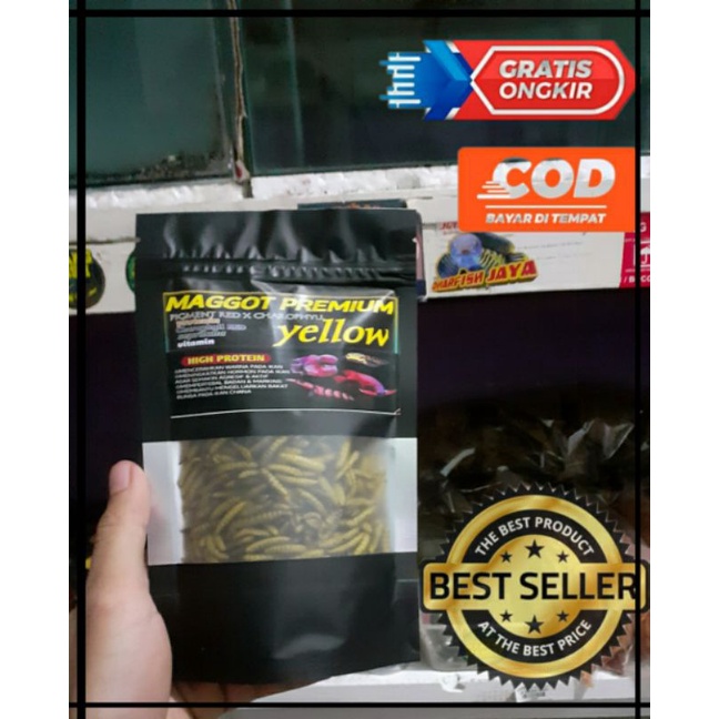KEMASAN BARU!!MAGGOT KERING BSF YELLOW BLUE RED 30 GR/MAGOT BSF GRADE A++