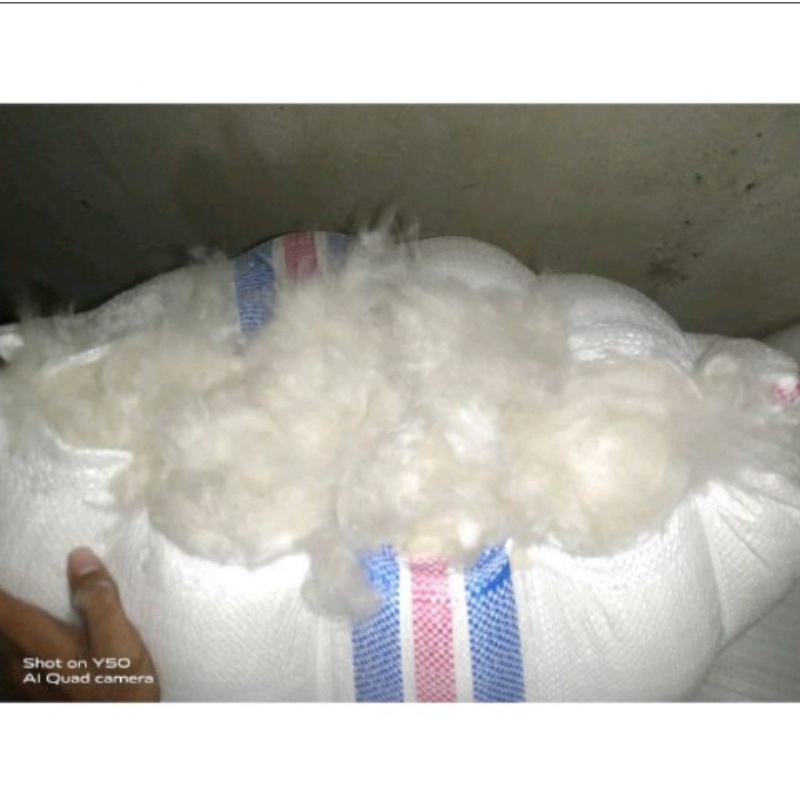 kapuk randu asli tanpa biji.kapuk kiloan 1 kg