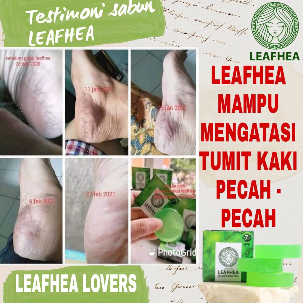 

buku bimbingan