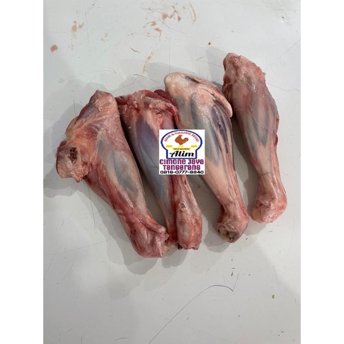 

Meat | Sengkel Kambing Segar - Fresh Lamb Shank Meat