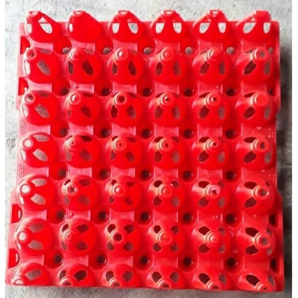 SGS Egg Tray plastik telur Tatakan Telor Plastik Tatakan Telor Egg Tray Tray Telur Tatakan Telur