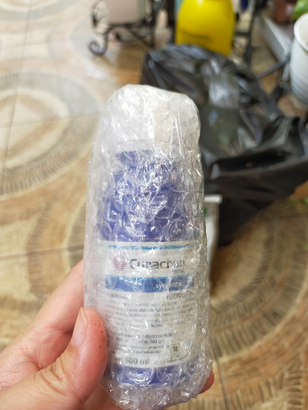 Insektisida Pembasmi Ulat, Kutu, Dan Serangga Curacron