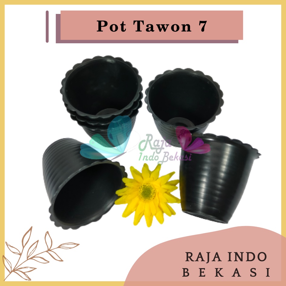 Pot Tawon 7 Hitam 7.5 Cm By Garden Of Love Pot Bunga Plastik Mini Lucu Vas Bunga Kaktus Kecil