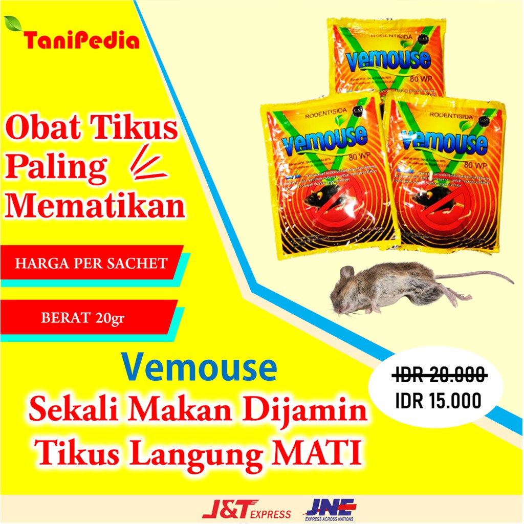 Racun Tikus Ampuh Mati Kering Obat Pengusir Tikus Rumah Dan Sawah Paling Ampuh