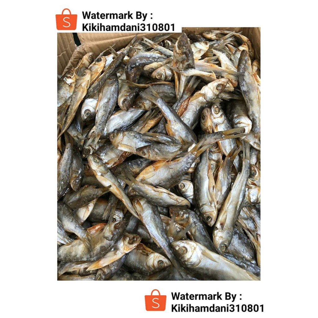 

Ikan Asin Nilam Ho 1 kg