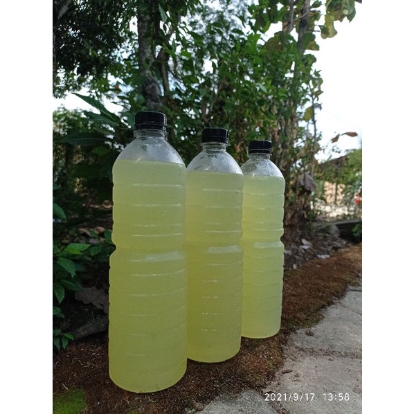 

Kefir Whey 1 liter Bening Susu Sapi Murni Fermentasi Probiotik