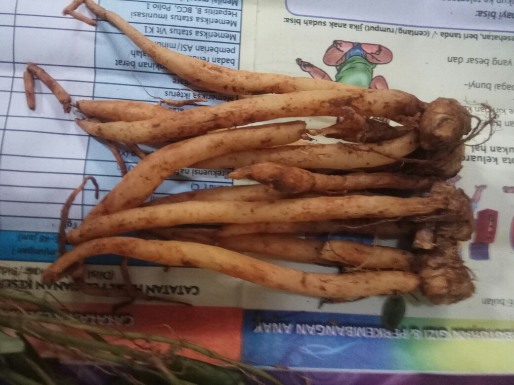 Temu Kunci Segar Basah