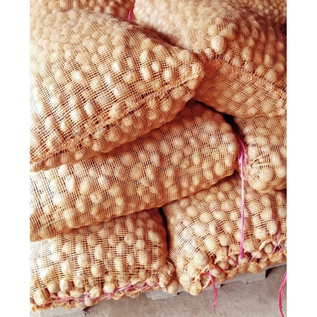 

kentang Fresh