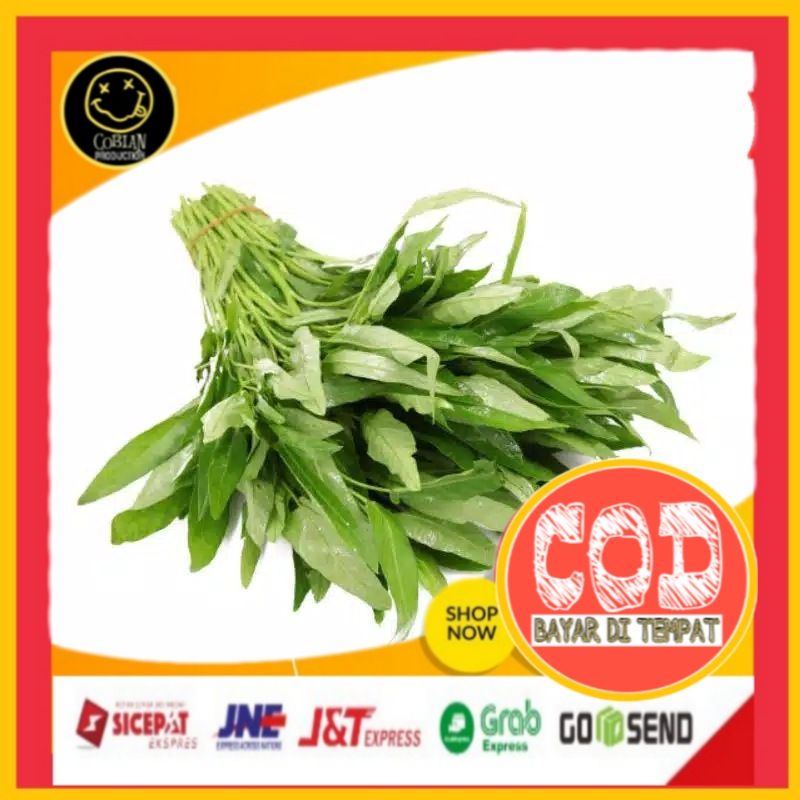 

Kangkung 1 ikat Sayuran Segar Sayuran Fresh Sayuran Organik Sayuran Online Sayuran Terlaris