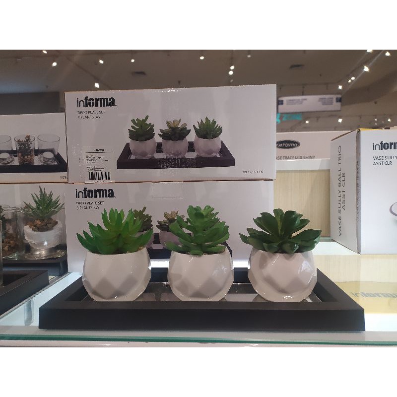 HIASAN MEJA SET INFORMA, VAS SET INFORMA, SUCCULENT SET ISI 3