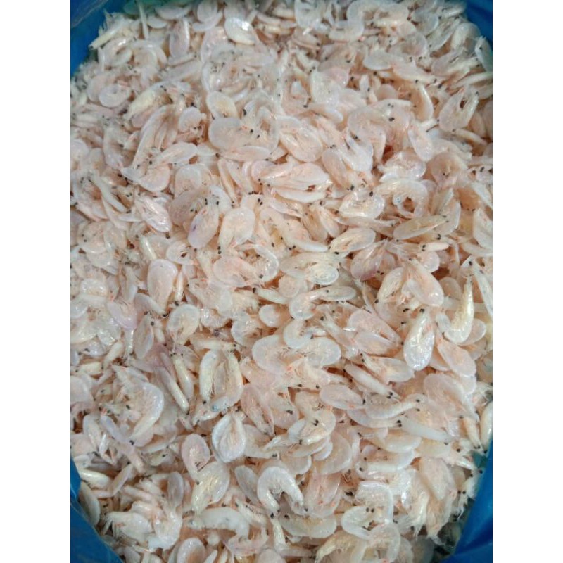 udang rebon 1/2kg