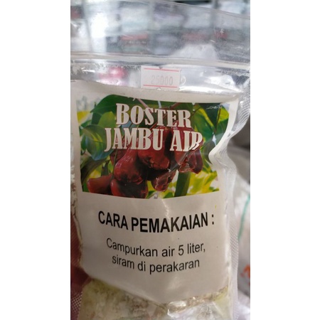 boster buah jambu air(perangsang buah)