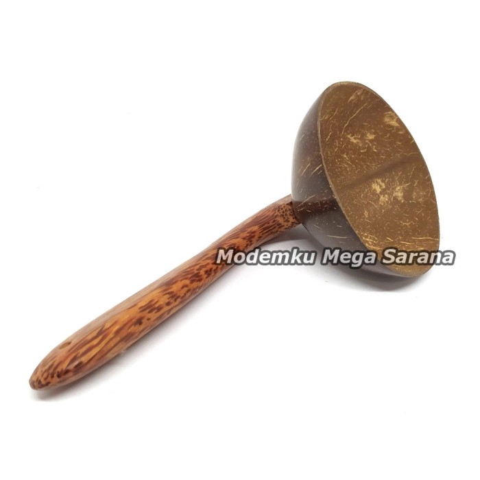 Centong Nasi Padang Batok Kelapa Gagang Glugu