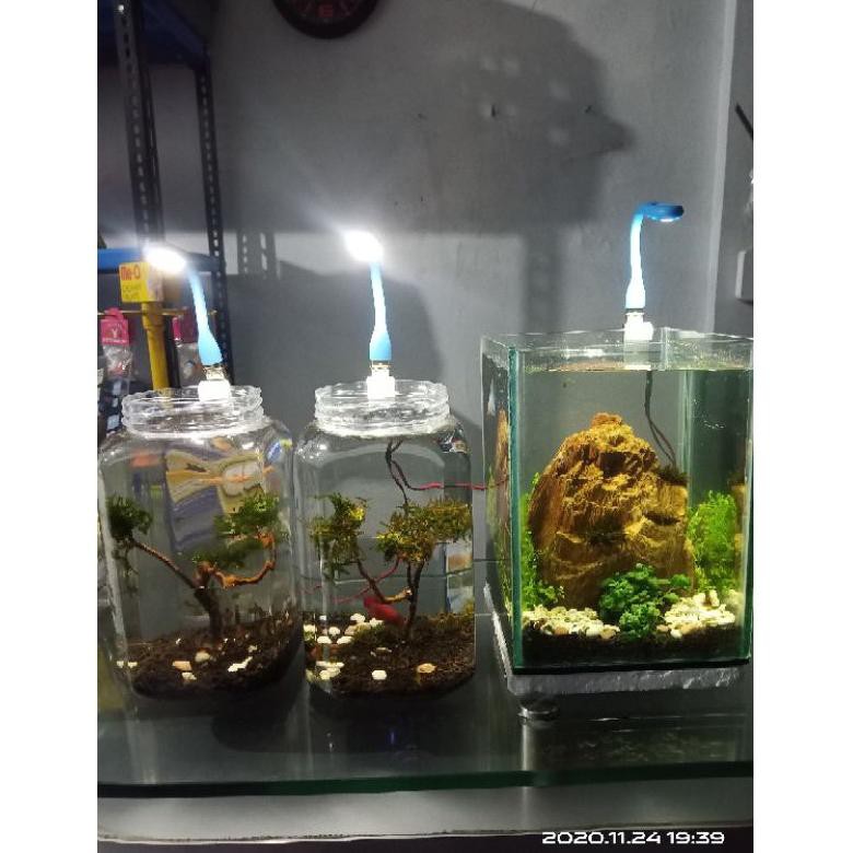 Np2Code Lampu led soliter cupang guppy aquascape mini(promo)N9W7