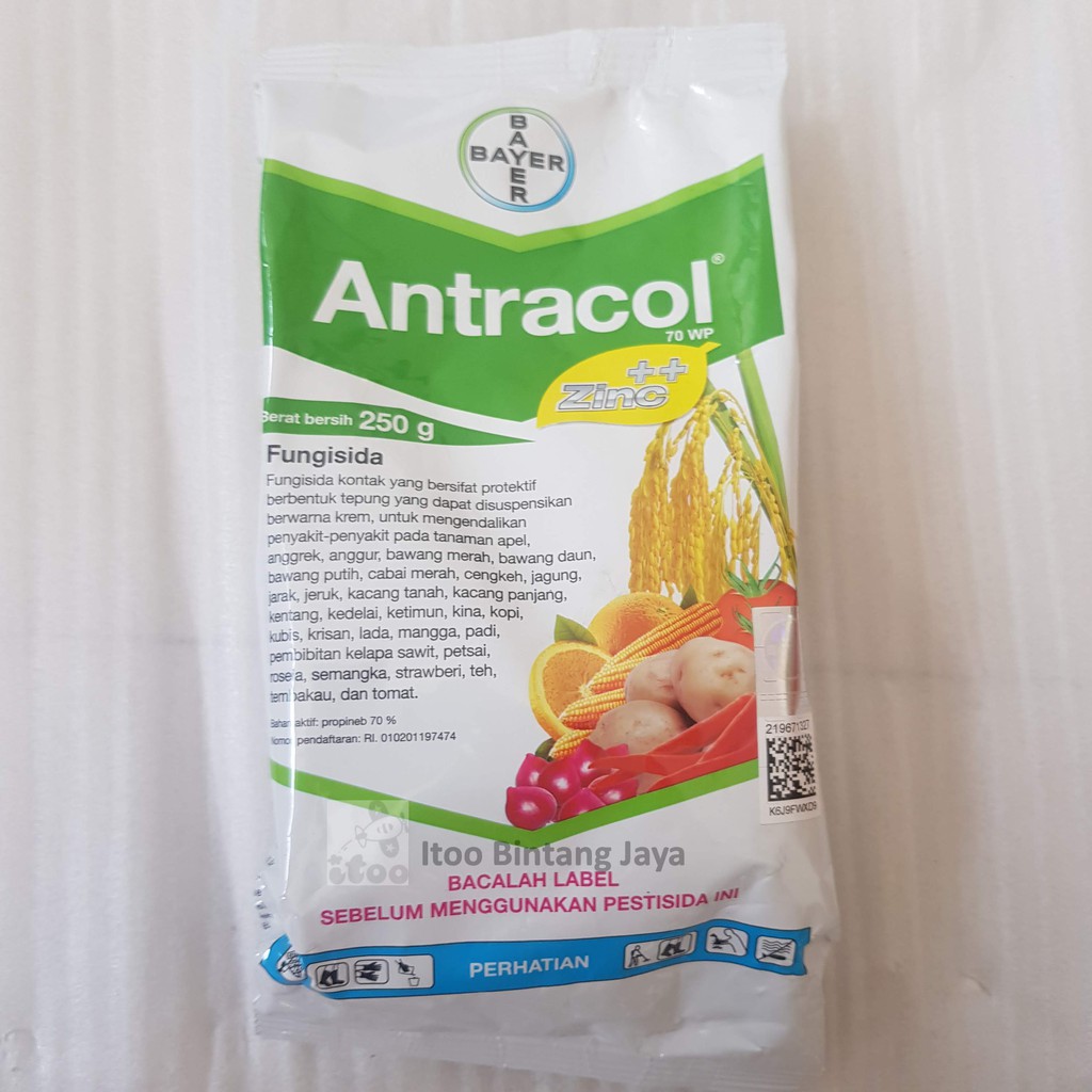 Fungisida Antracol 70 Wp Zinc 250 Gram Obat Fungi Hama Jamur Busuk Shopee Indonesia