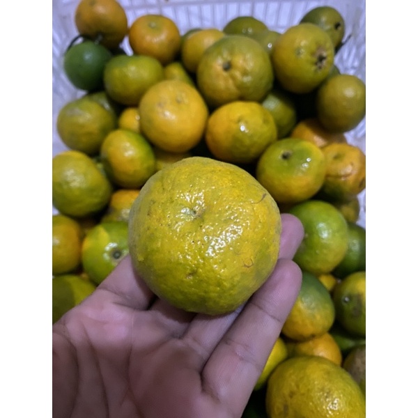 

jeruk santang madu hijau manis fresh Import 1kg