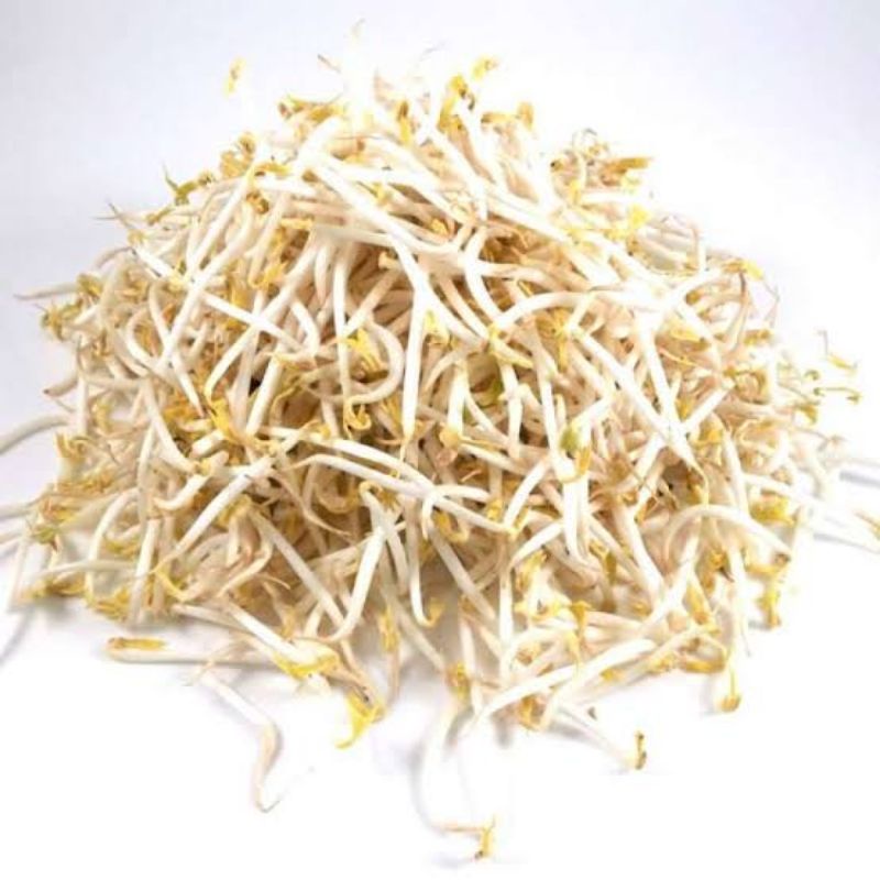 

Toge sayur / kecambah panjang