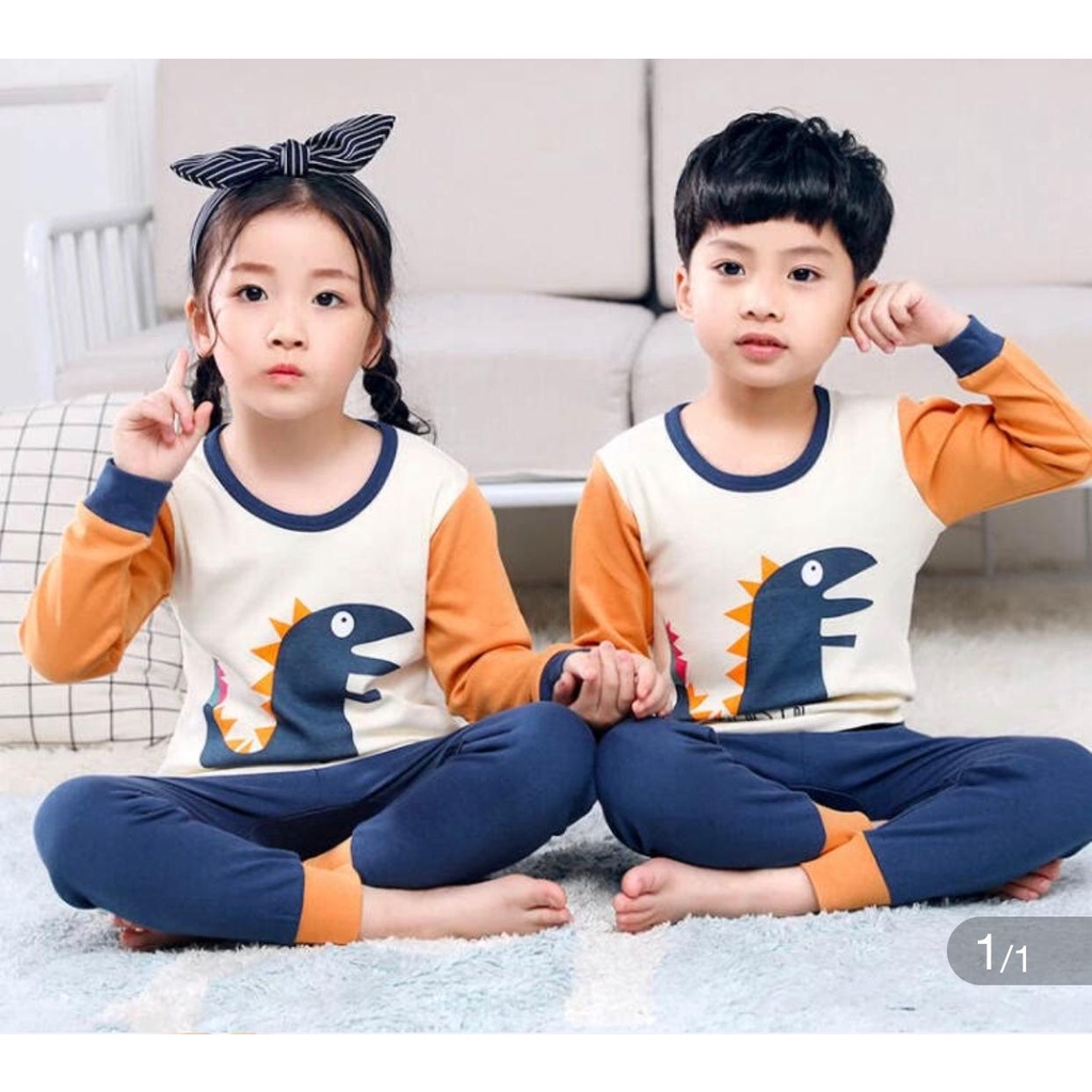 SETELAN ANAK BAJU ANAK LAKI LAKI ,BAJU ANAK PEREMPUAN MOTIF DINO KUBUS TERMURAH DAN TERLARIS