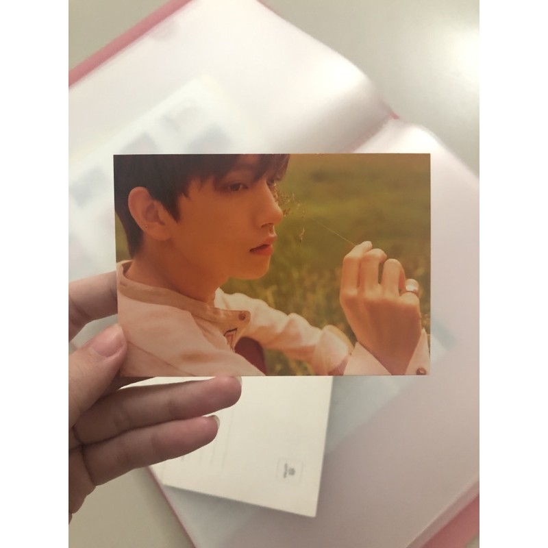 seventeen you make my day kihno ymmd joshua pc photocard