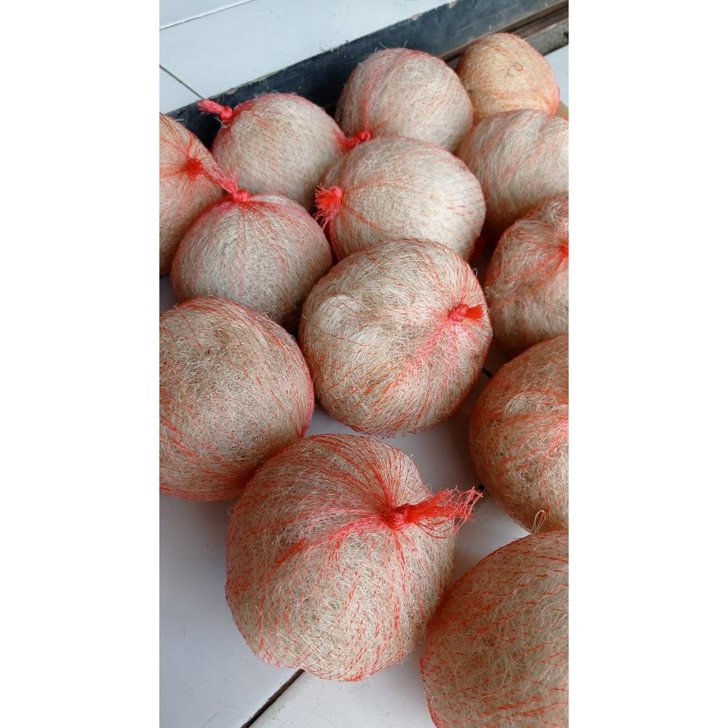 JARING NELAYAN MEDIA FILTER AQUARIUM KOLAM